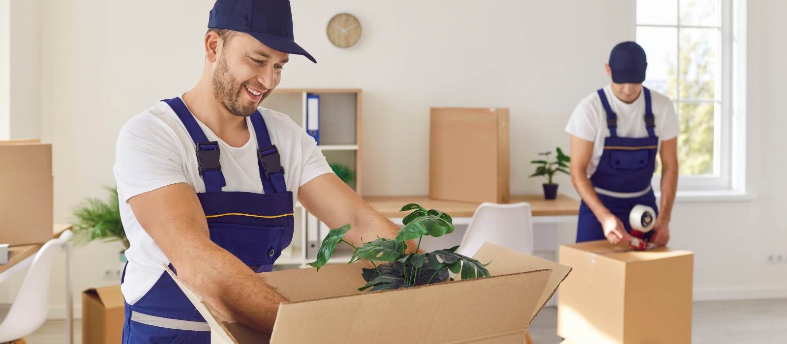 Professional Moving with Care
